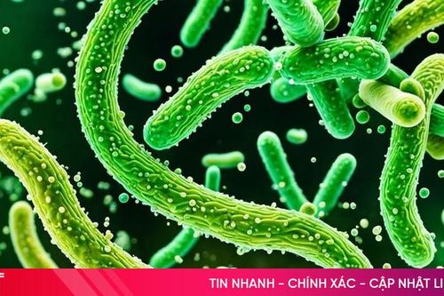 Phân biệt ung thư dạ dày và loét dạ dày