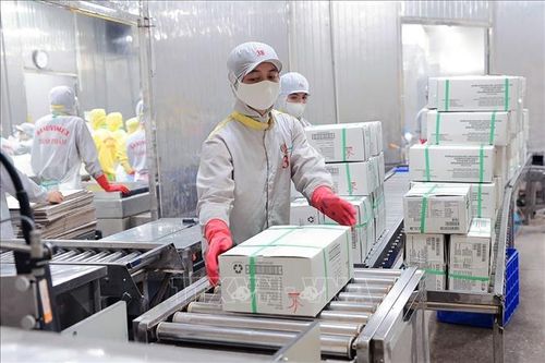 Standard Chartered nâng dự báo GDP năm 2025 của Việt Nam lên 7,5%