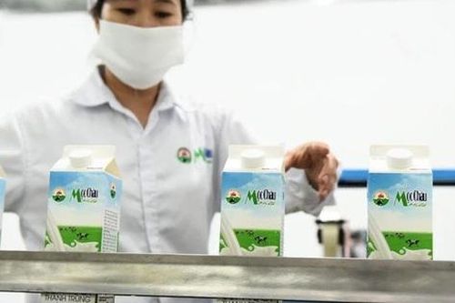 Lợi nhuận lao dốc, Mộc Châu Milk vẫn chi mạnh cho dự án nghìn tỷ