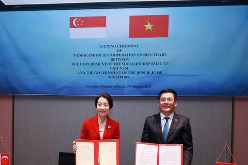 Việt Nam và Singapore ký bản ghi nhớ hợp tác thương mại gạo