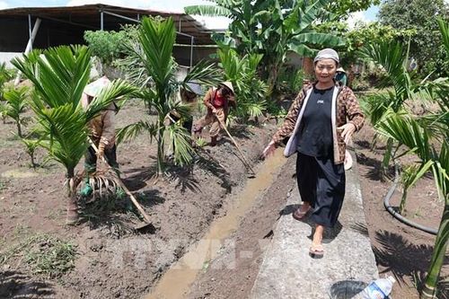 Đảng kiến tạo - Dân đồng hành - Bài 2: Người giữ 'tần số' niềm tin giữa đại ngàn Ea K'Tur
