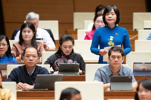 Đại biểu Quốc hội đề xuất nhiều giải pháp phòng chống bạo lực học đường