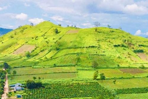 Tháng 11, hẹn nhau về Gia Lai ngắm dã quỳ nở rộ bên núi lửa triệu năm