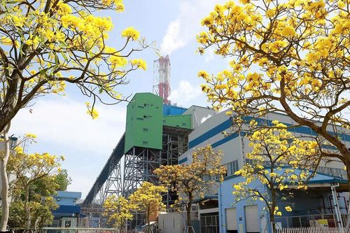 Nhiệt điện Nghi Sơn bảo đảm cung ứng điện an toàn, ổn định cuối năm 2025 và giai đoạn 2026-2030