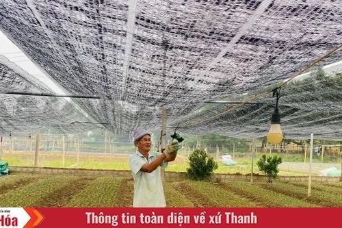 Thắm lại sắc hoa trên đồng đất Đông Cương