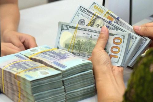 Ngân hàng Nhà nước chi nhánh báo cáo kết quả thanh, kiểm tra hoạt động mua bán ngoại tệ trước ngày 10/11/2025