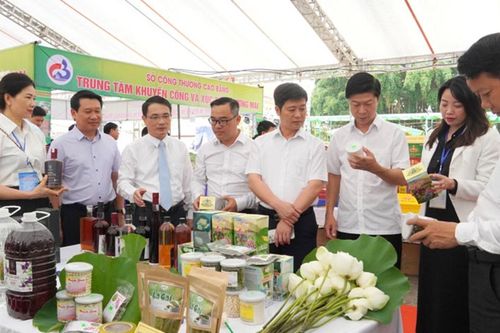 Nông sản Quảng trị vươn xa bằng 'chìa khóa' công nghệ và bản sắc văn hóa