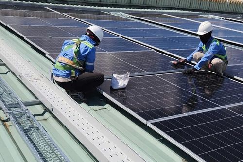 Việt Nam - Đan Mạch thúc đẩy hợp tác trong chuyển đổi xanh