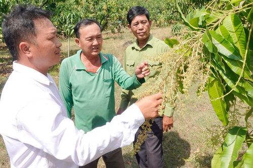 Từ chiến hào ra đồng ruộng