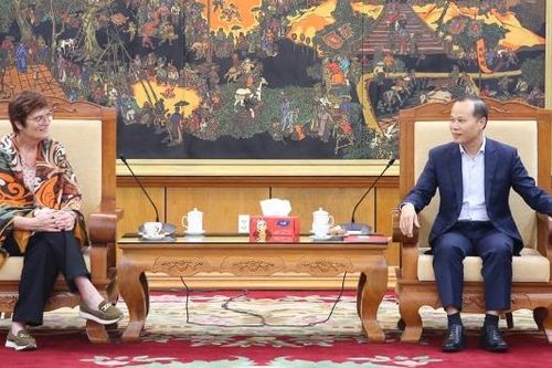 Phó Chủ tịch Thường trực UBND tỉnh Mai Sơn làm việc với lãnh đạo Trường Đại học Limoges (Cộng hòa Pháp)