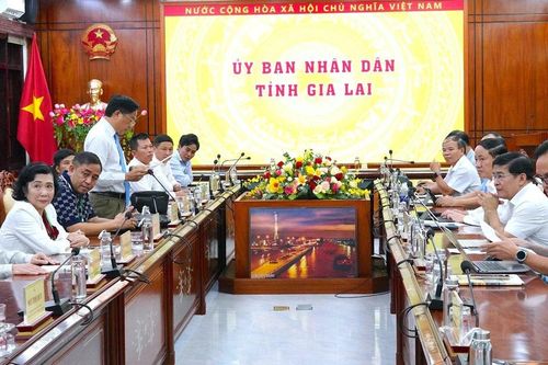 Chủ tịch UBND tỉnh Phạm Anh Tuấn làm việc với Hiệp hội sắn Việt Nam