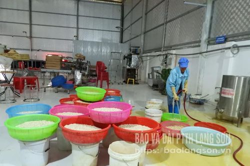Yên Bình hồi sinh sau lũ