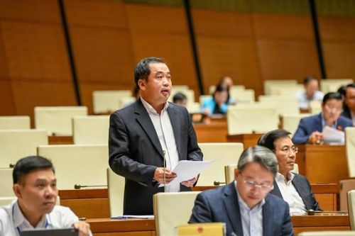 Bộ Nông nghiệp và Môi trường tham mưu Chính phủ trình Quốc hội 4 nhóm việc quan trọng