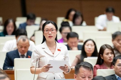 ĐBQH Lâm Đồng Trần Thị Thu Hằng kiến nghị bảo đảm quyền con người trong tương trợ tư pháp hình sự
