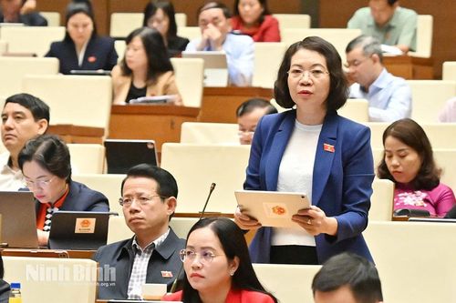 Kỳ họp thứ 10, Quốc hội khóa XV: Đại biểu Quốc hội tỉnh đề nghị cần tái cấu trúc hệ thống pháp luật, tạo động lực cho kiến tạo phát triển