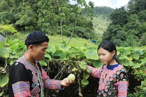 Bài 1: Mang cuộc sống mới về bản