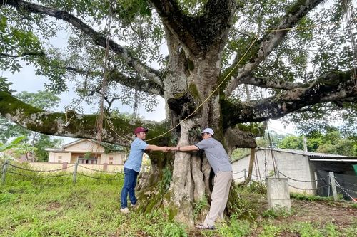 'Báu vật' của làng