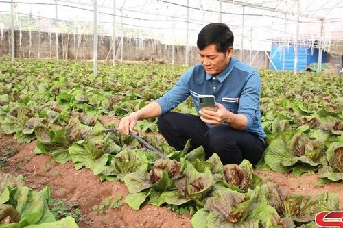 Phát triển nông nghiệp bền vững