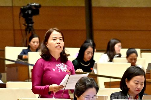 Tăng hiệu quả Quỹ Phát triển doanh nghiệp nhỏ và vừa hướng tới doanh nghiệp địa phương phát triển