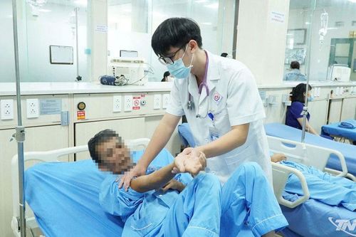 Người đàn ông bị hơn 300 con ong khoái đốt đã được xuất viện