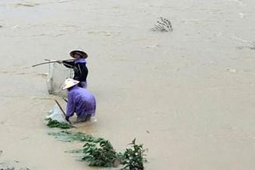 Đừng để đuối nước trong lũ do chủ quan
