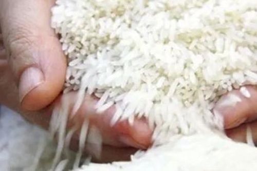 Singapore và Việt Nam đã ký Bản ghi nhớ hợp tác thương mại gạo