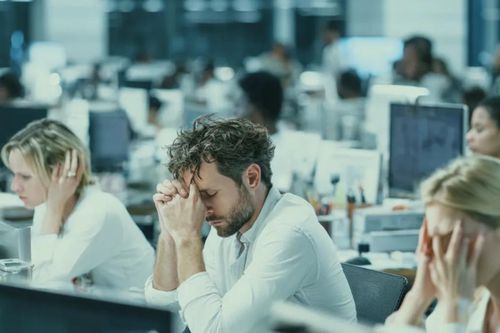 AI trỗi dậy, việc làm văn phòng lung lay