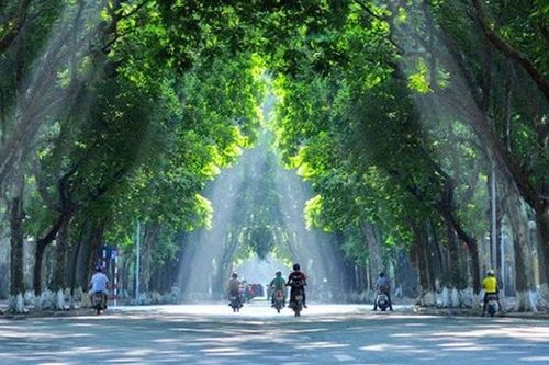 Hà Nội lan tỏa thông điệp xanh tại sự kiện quốc tế 'Không khí sạch cho bầu trời xanh'