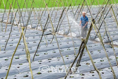 Vĩnh Mỹ: Từ vùng đất khó vươn lên xây dựng cuộc sống ấm no