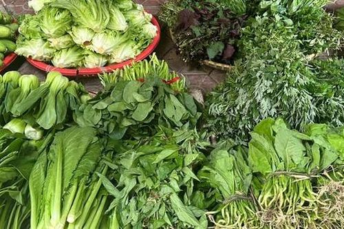 Ăn gì để vừa tiết kiệm vừa đủ vitamin khi rau xanh tăng giá mạnh?
