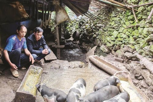 Đổi thay nhờ thực hiện tốt các hoạt động giám sát