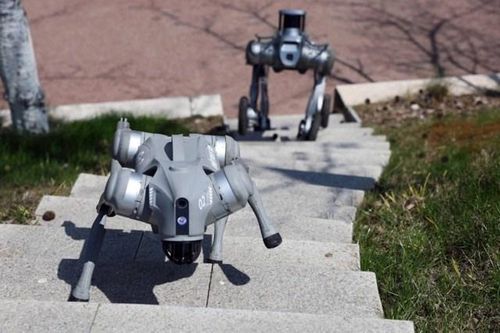 Robot trở thành bạn đồng hành trên toàn cầu