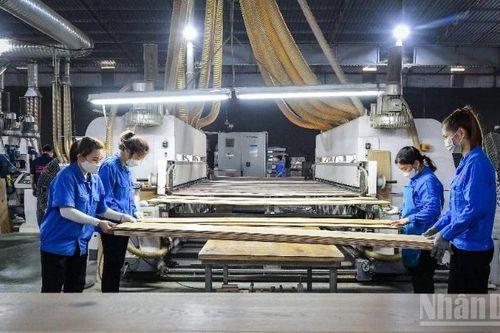 Doanh nghiệp Việt vươn ra biển lớn: Cần một hệ sinh thái hỗ trợ toàn diện