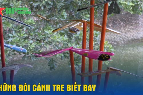 Những đôi cánh tre biết bay
