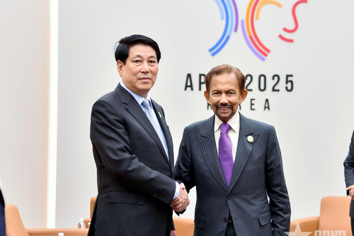 Chủ tịch nước Lương Cường gặp Quốc vương Brunei