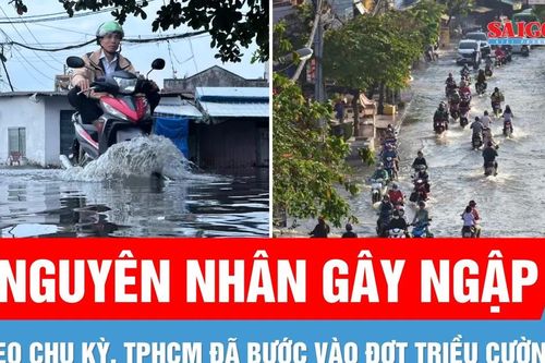Sở Xây dựng TPHCM nêu giải pháp ứng phó với triều cường