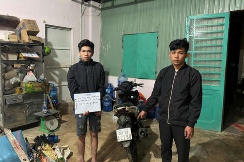 Bắt 2 đối tượng gây ra hàng loạt vụ trộm cắp tài sản ở Lâm Đồng