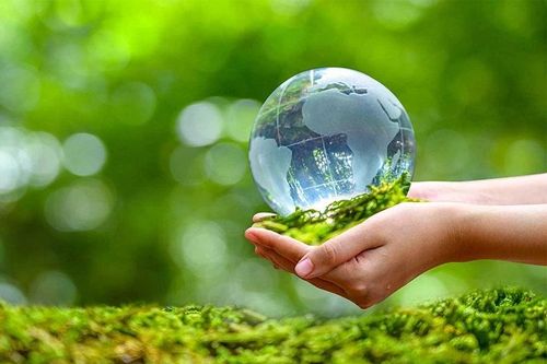 Phép tính nghiệt ngã của môi trường