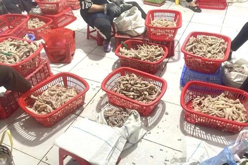 Thu giữ trên 3,5 tấn chân gà 'bẩn' ở khu vực biên giới