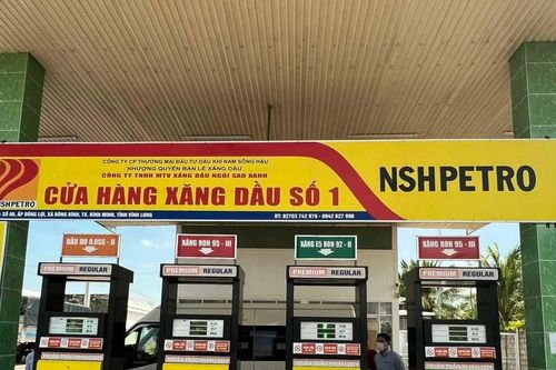 Bắt Phó Tổng Giám đốc Công ty Dầu khí Nam Sông Hậu