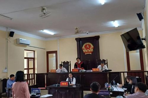Vụ nữ 'đại gia' thủy sản bị cáo buộc hủy hoại tài sản: Nữ đại gia bật khóc nói lời sau cùng