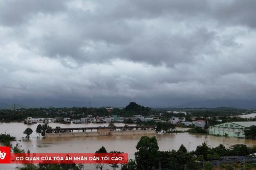 Đà Nẵng chủ động ứng phó mưa lớn, tăng cường phòng chống thiên tai