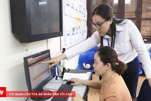 Căn cứ xây dựng vị trí việc làm ở cấp xã