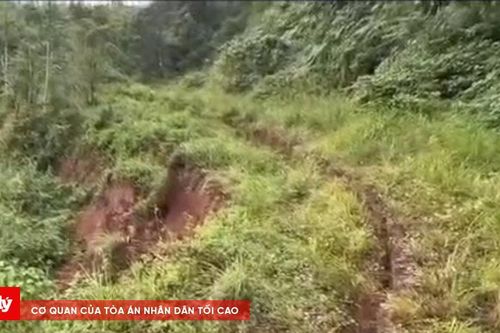 Xuất hiện vệt nứt đất dài 45m, nguy cơ sạt lở cao tại Quảng Ngãi