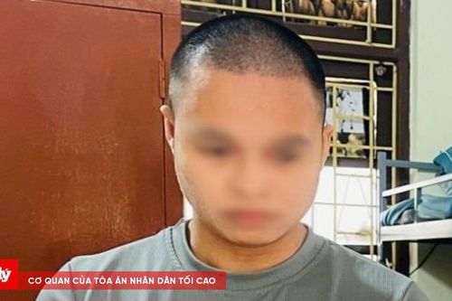 Chủ kênh TikTok 'Gia đình Hải Sen' bị khởi tố về hành vi trốn thuế