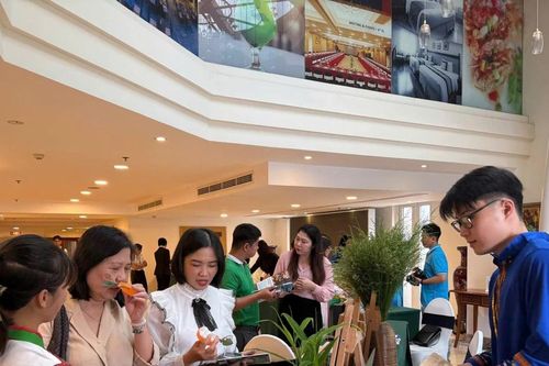 Hình thành hệ sinh thái du lịch y tế Thành phố Hồ Chí Minh cùng Đồng bằng sông Cửu Long và Đông Nam Bộ