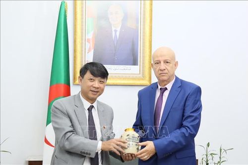 Việt Nam và Algeria thúc đẩy, tăng cường hợp tác