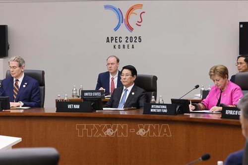 Chủ tịch nước Lương Cường dự Hội nghị Cấp cao APEC lần thứ 32
