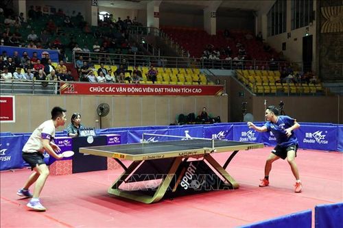 Trao giải các cây vợt bóng bàn xuất sắc quốc gia 2025
