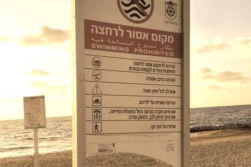 Israel liên tiếp đóng cửa bãi biển do phát hiện cá mập